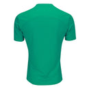 Camisa Palmeiras Treino 25/26 - Verde