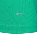 Camisa Palmeiras Treino 25/26 - Verde