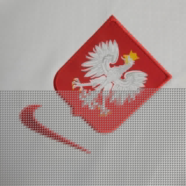 Camisola Polônia Home 2024